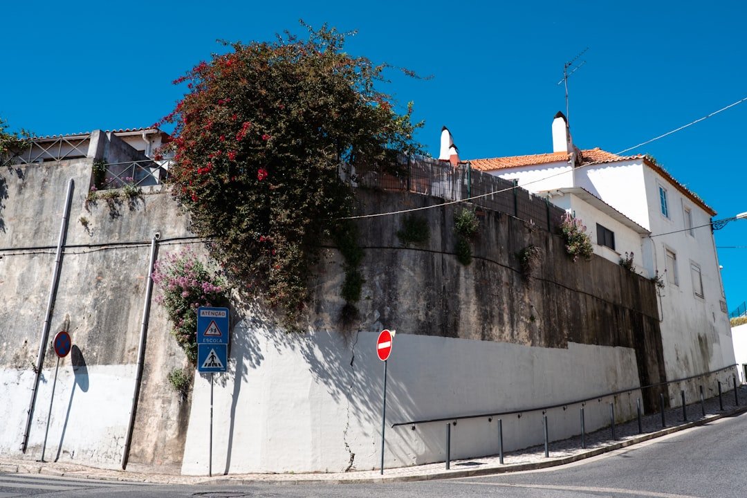 Um Edificio Com Vinhas Que Crescem Ao Lado Dele QPCejNLNw_g