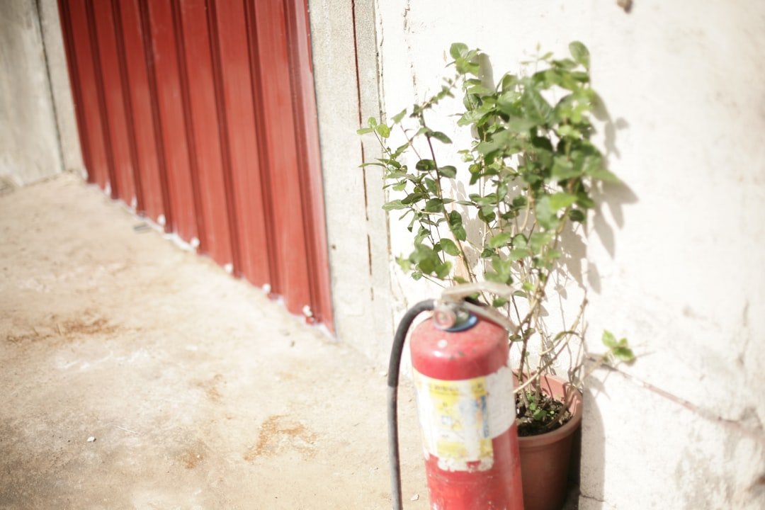 Extintor Vermelho Ao Lado De Uma Planta Em Vaso QCYrx3pCUbo