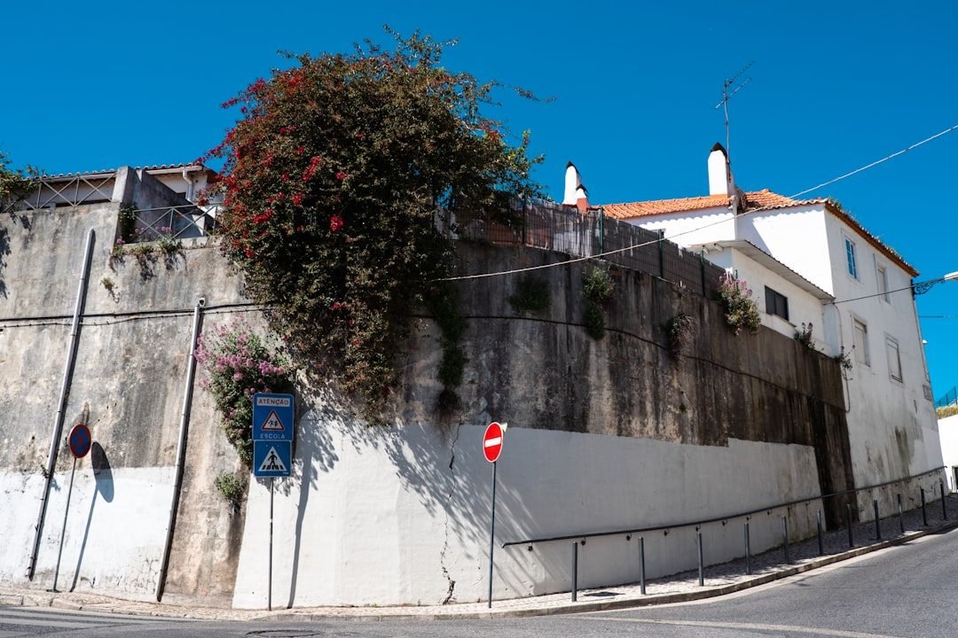 Um Edificio Com Vinhas Que Crescem Ao Lado Dele QPCejNLNw_g